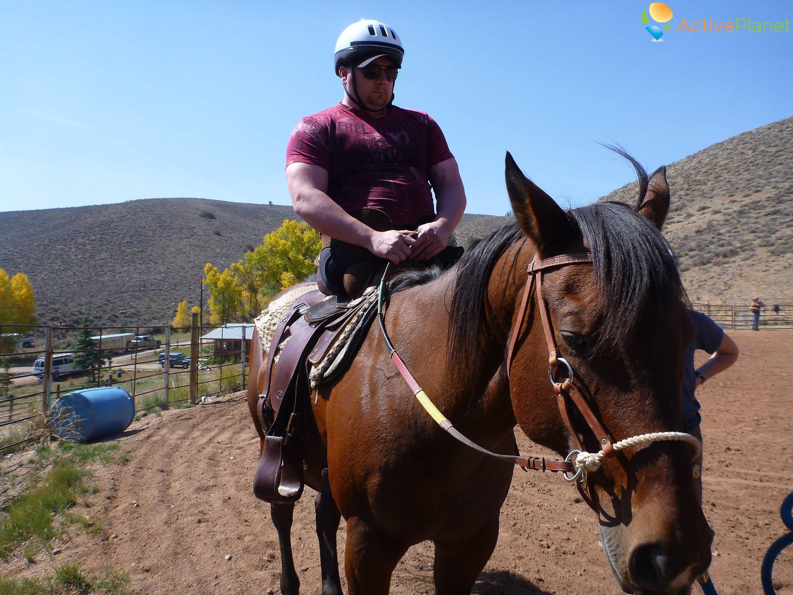 Paralympic Equestrian Training  